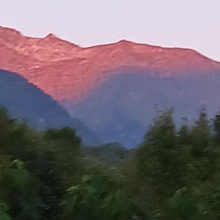 A La Joie De Vivre Chez L'Habitant Banat Dış mekan fotoğraf